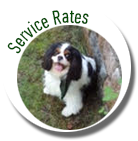 service-rates-icon