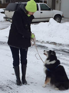 snow-day-training-walk-with-melissa-and-lilly